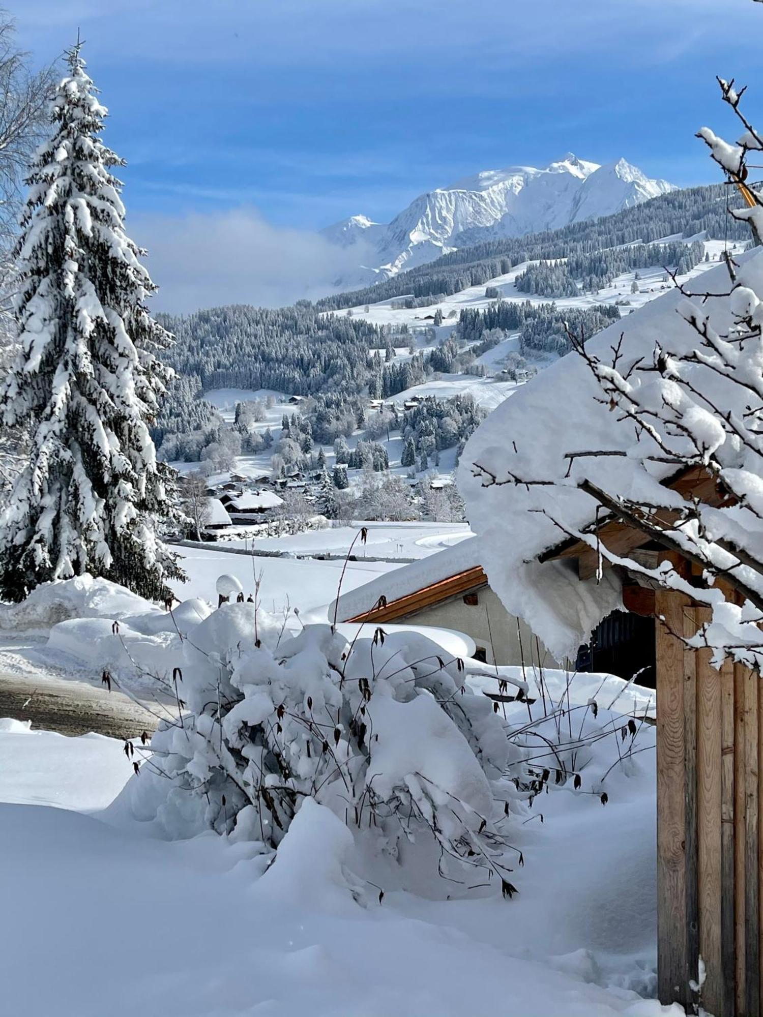 Chalet A Megeve-Vauvray - Grands Appartements , Vue Mont Blanc Demi-Quartier Kültér fotó