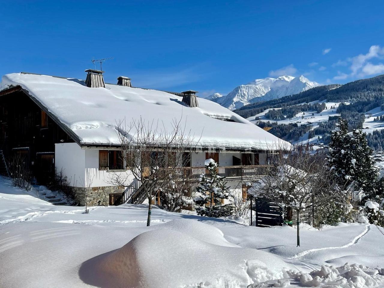 Chalet A Megeve-Vauvray - Grands Appartements , Vue Mont Blanc Demi-Quartier Kültér fotó