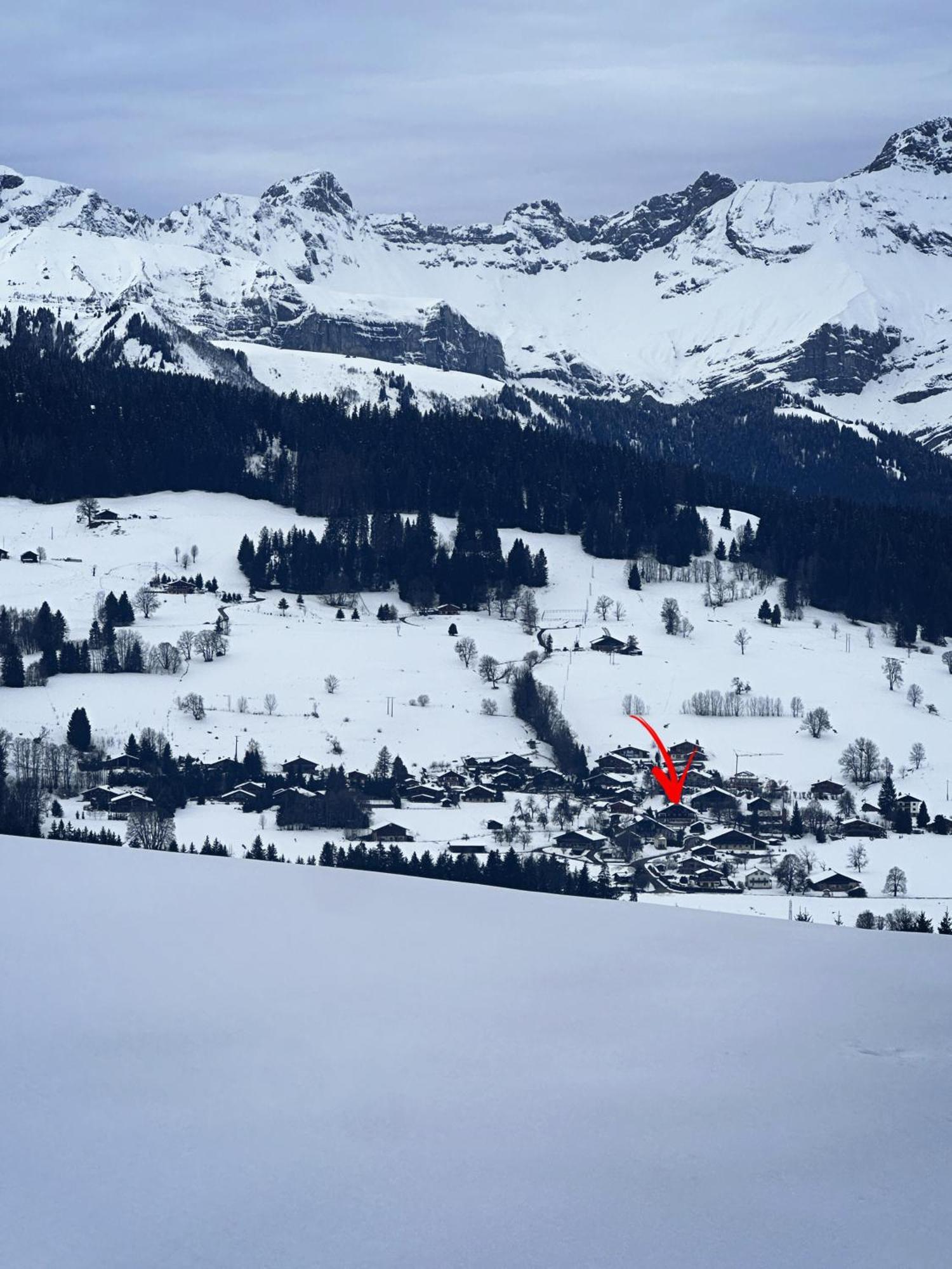 Chalet A Megeve-Vauvray - Grands Appartements , Vue Mont Blanc Demi-Quartier Kültér fotó
